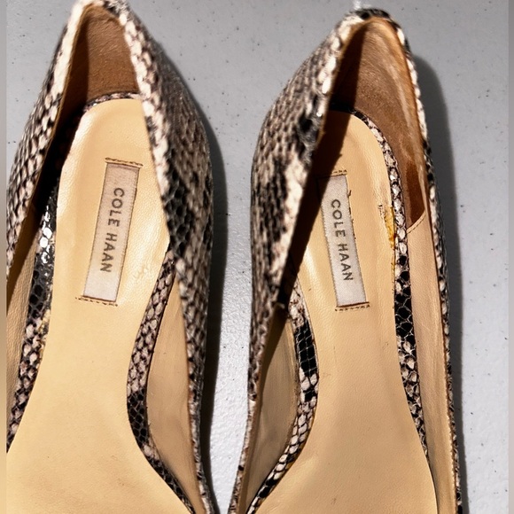 Cole Haan Snakeskin leather wedge pointed toe heels 5.5 office - Picture 3 of 13
